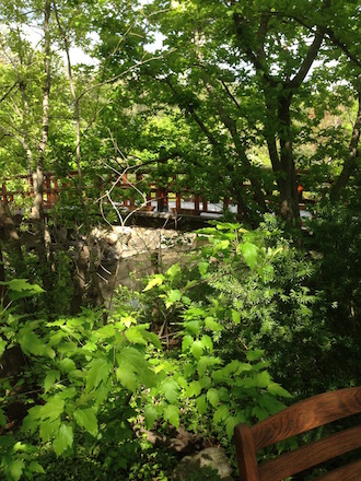 break out  the power to heal at the Anderson Japanese Garden bridge