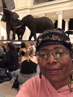 Black woman in pink sweatshirt sitting onfloor with a group of people in front of elephant exhibit at a museum celebrating end of decade