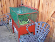 The completed container garden with critter hutch out in the patio next to lawn chairs.