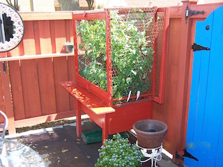 The plant-filled container garden with a large screened critter hutch in the patio.