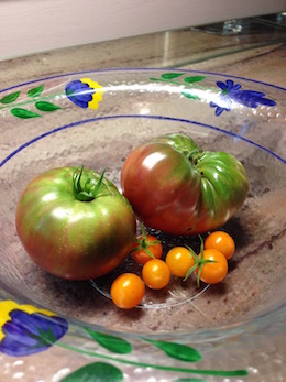 A glass bowl with large and very small tomatoes from the garden.