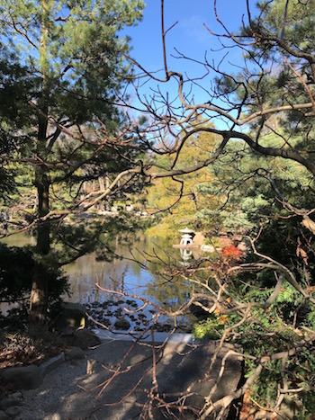 A pond with a lantern in the garden.