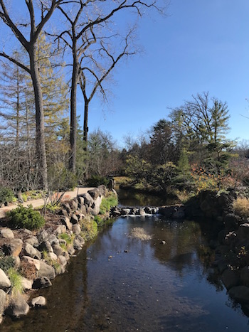 A small causeway in the garden.