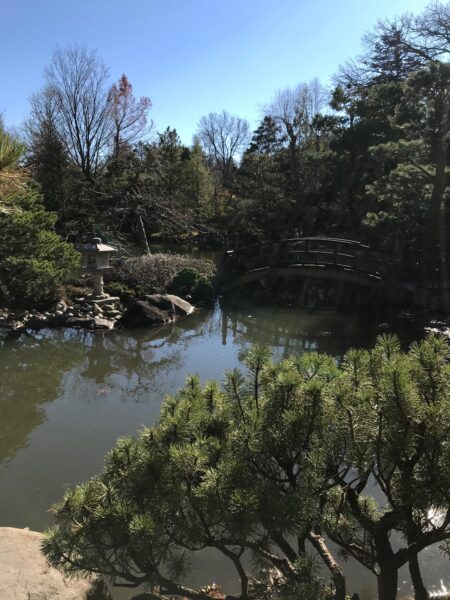 Another pond in the garden.