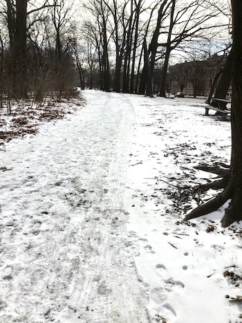 Snow covered "road" taken.