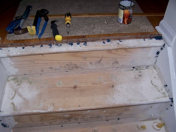 Tools ready to begin carpet tack and staple removal from stairs.