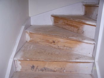 More stair after removal of carpet tacks and staples.