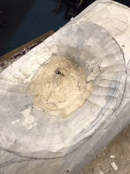 A small hole in the core of the log.