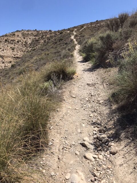 Path leading to the Camino Mozarabe.