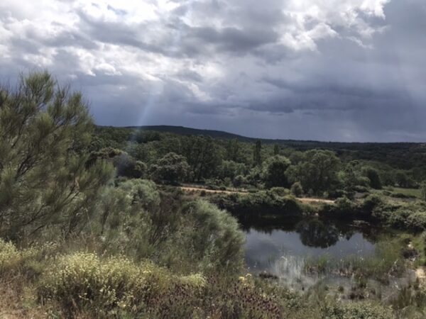 Sun rays out of the clouds on the via de la plata camino.