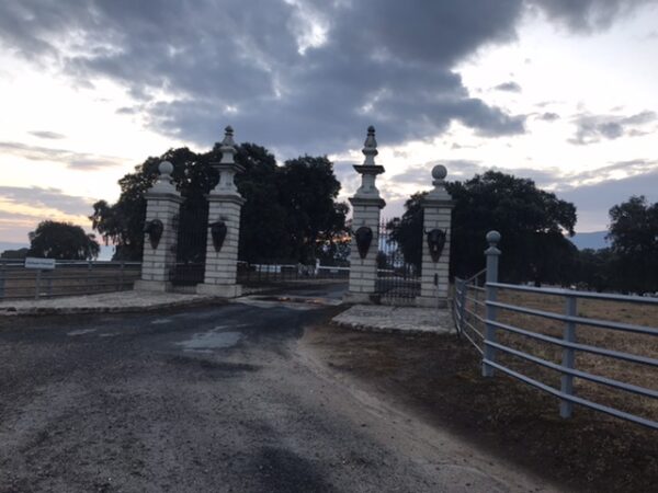 A toros ranch along the camino.