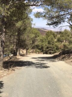 The path ahead reveals a town in the mountains