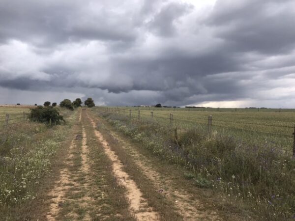 Storm clouds ahead as predicted by Frederick Douglass.