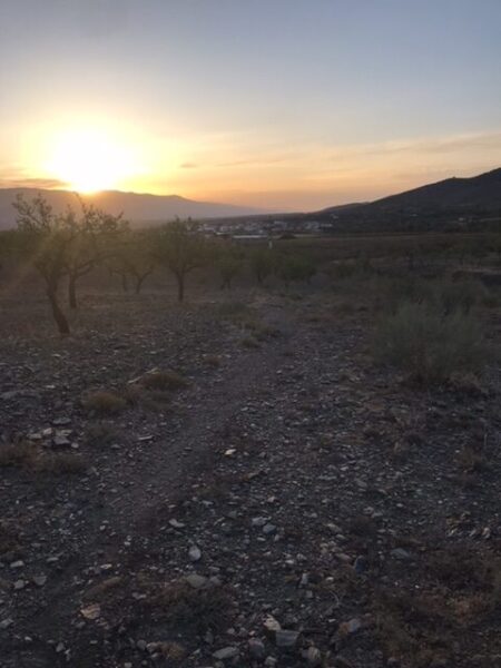 Sunrise on camino Mozárabe.