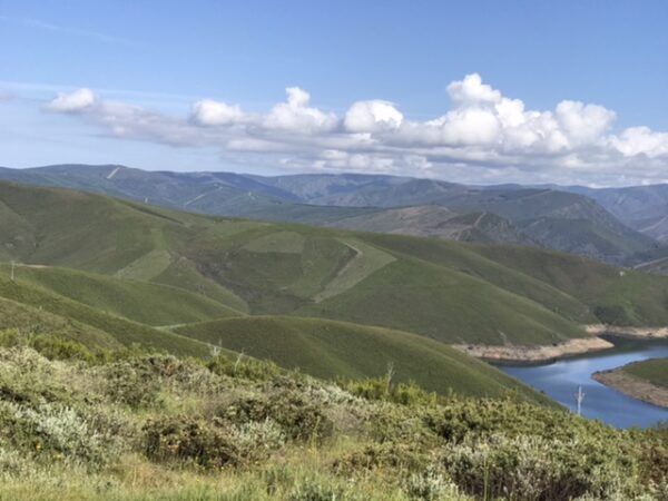 All of nature on the pilgrimage trail.