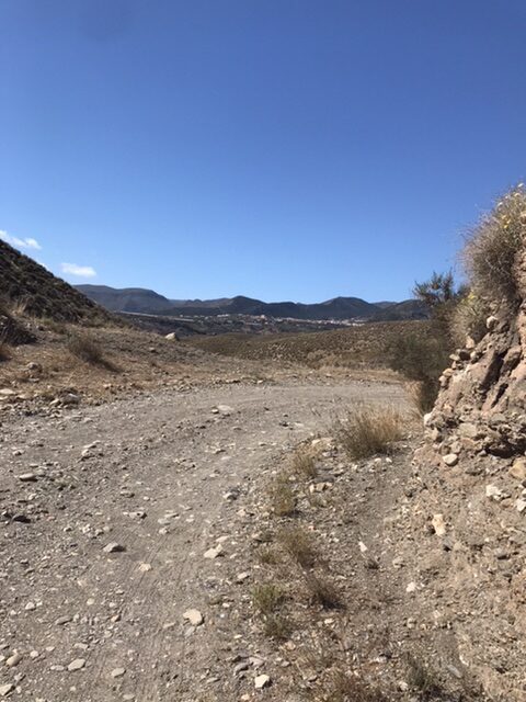 A rugged path on the camino de Santiago.
