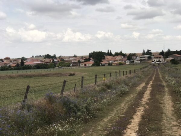 The road leading to town off the camino de la plata.