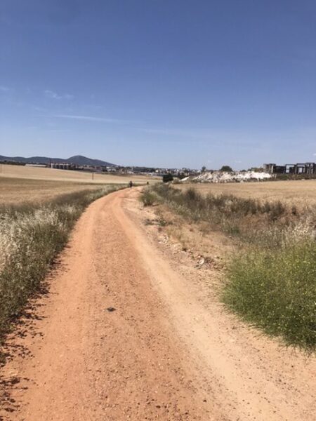 The camino road leading to Merida, Spain.