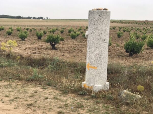 A tubular stone pillar in a vineyard.