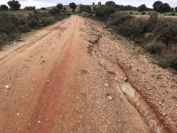 A muddy and cracked vineyard road.