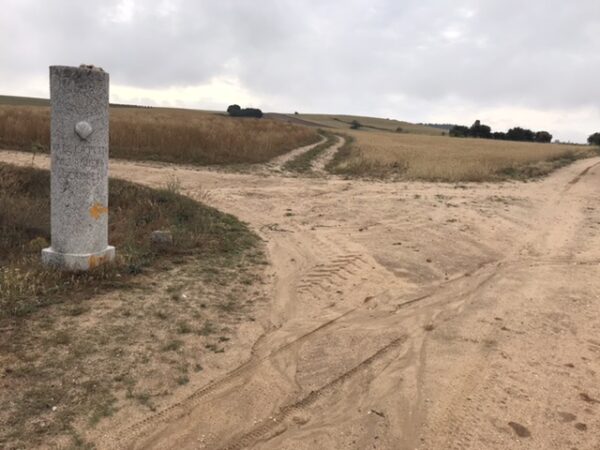 Cereal field and stone pillar on camino Via de la Plata.
