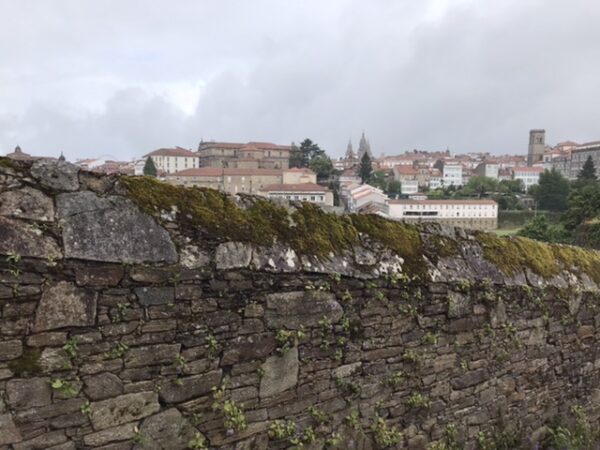 A long view of the church spires at Santiago.