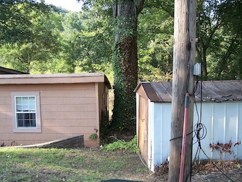 An old, white shed with rusty doors.