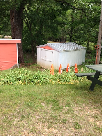 A revived shed.