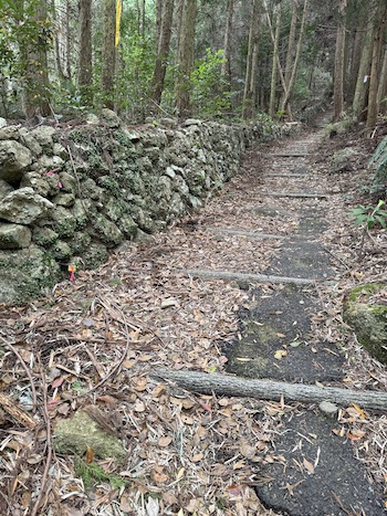 Logs stretched across a path for climbing a mountain.